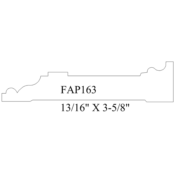 FAP163