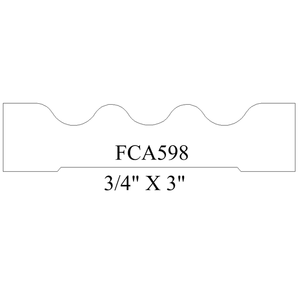 FCA598