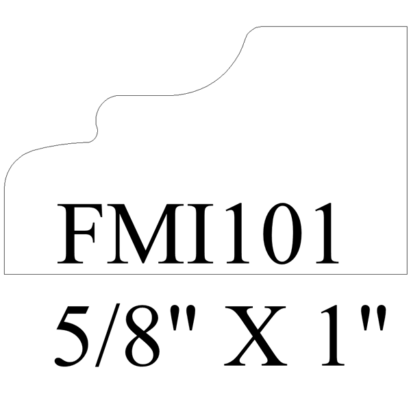 FMI101