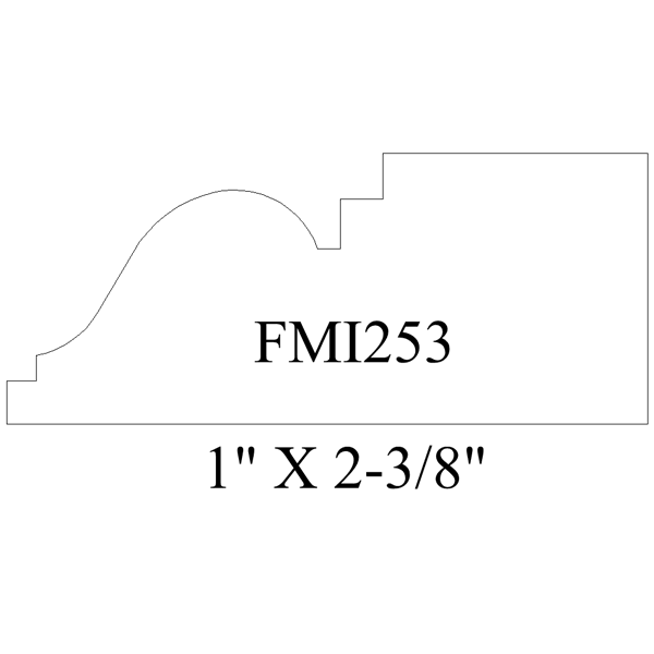 FMI253