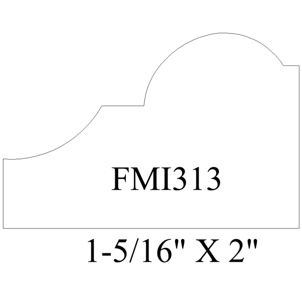 FMI313