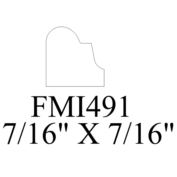 FMI491