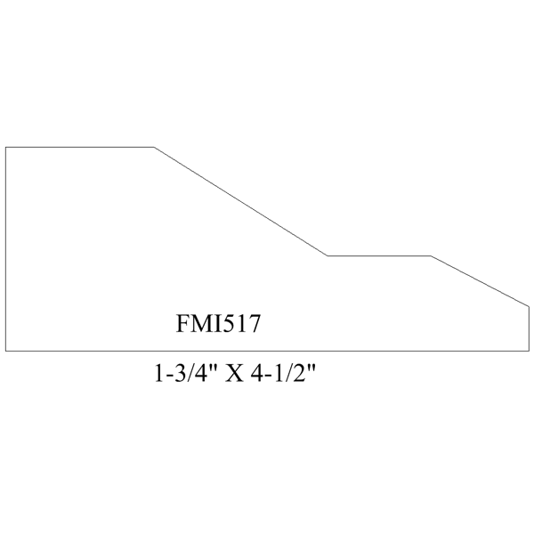 FMI517