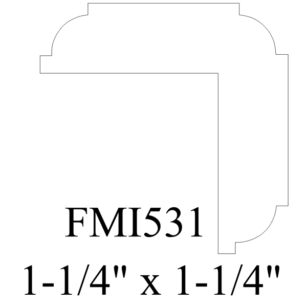 FMI531
