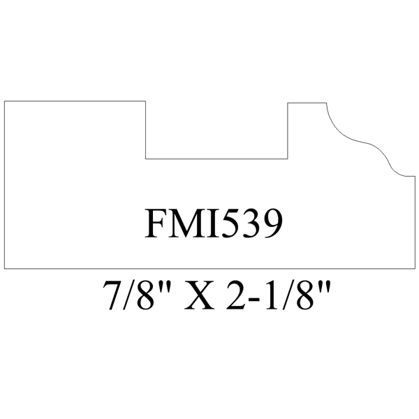 FMI539