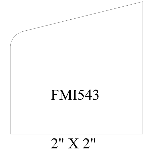 FMI543