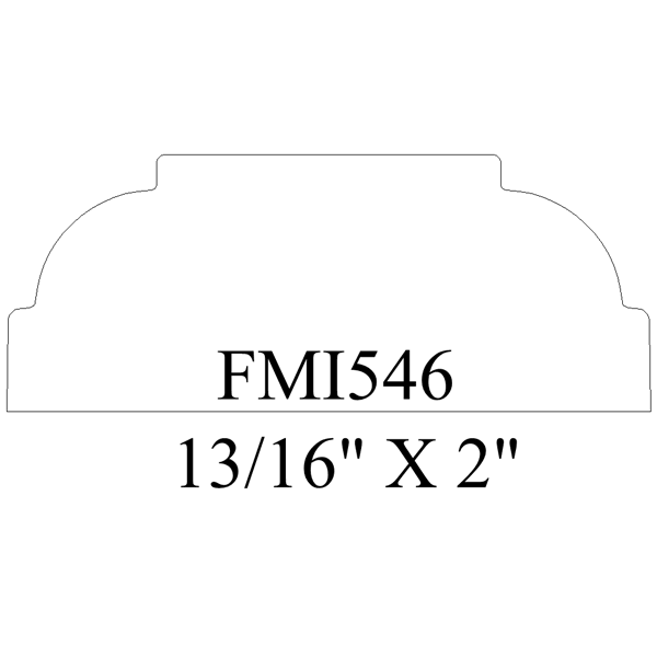 FMI546