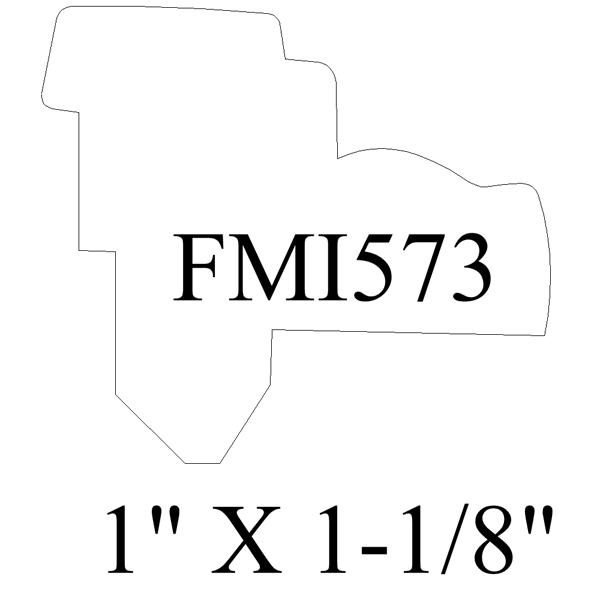 FMI573