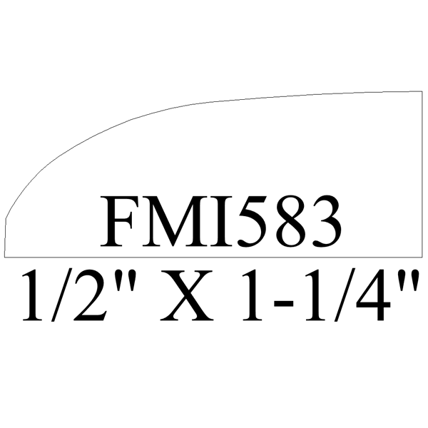 FMI583
