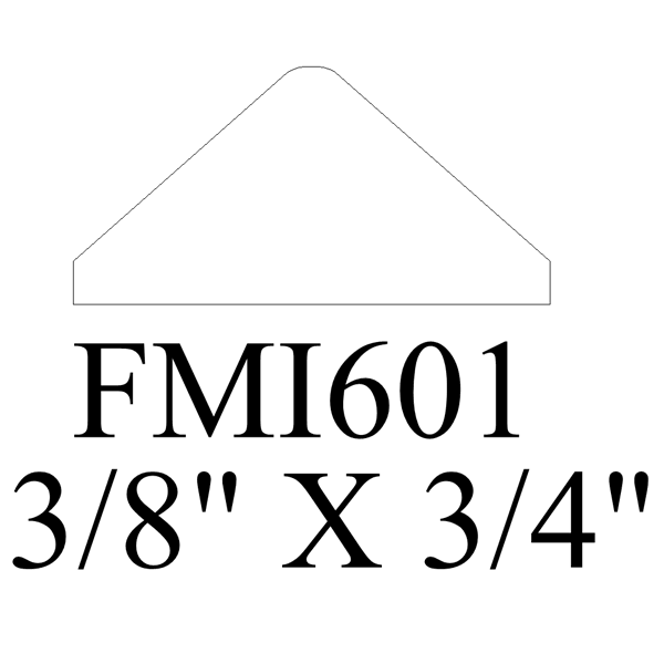 FMI601