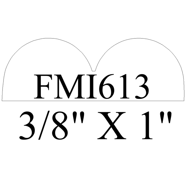 FMI613