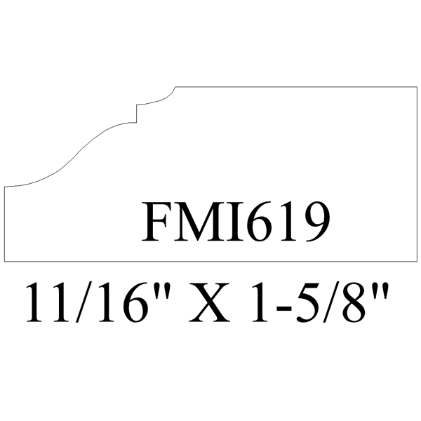 FMI619