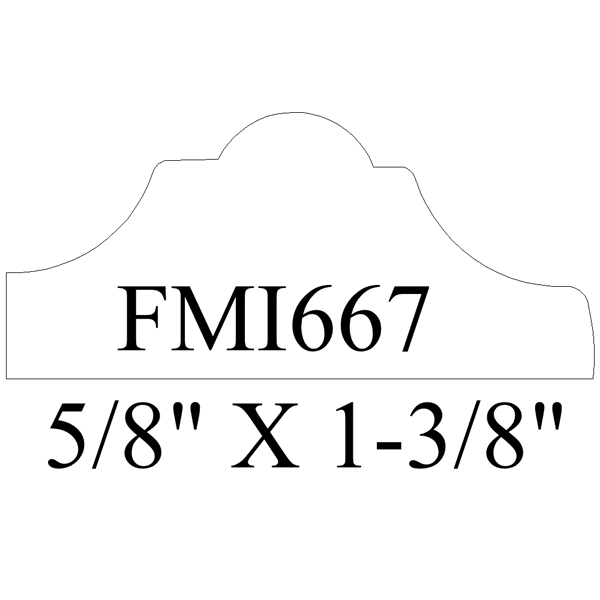 FMI667