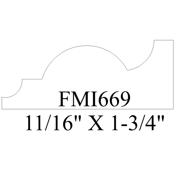 FMI669
