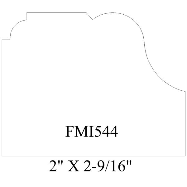 FMI544