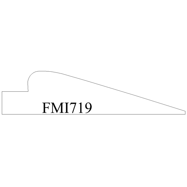 FMI719