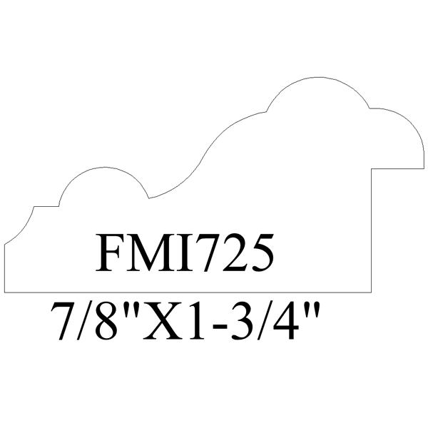 FMI725